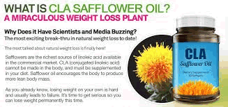what-is-cla-safflower-oil